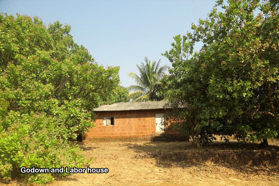 Godown & Labor House